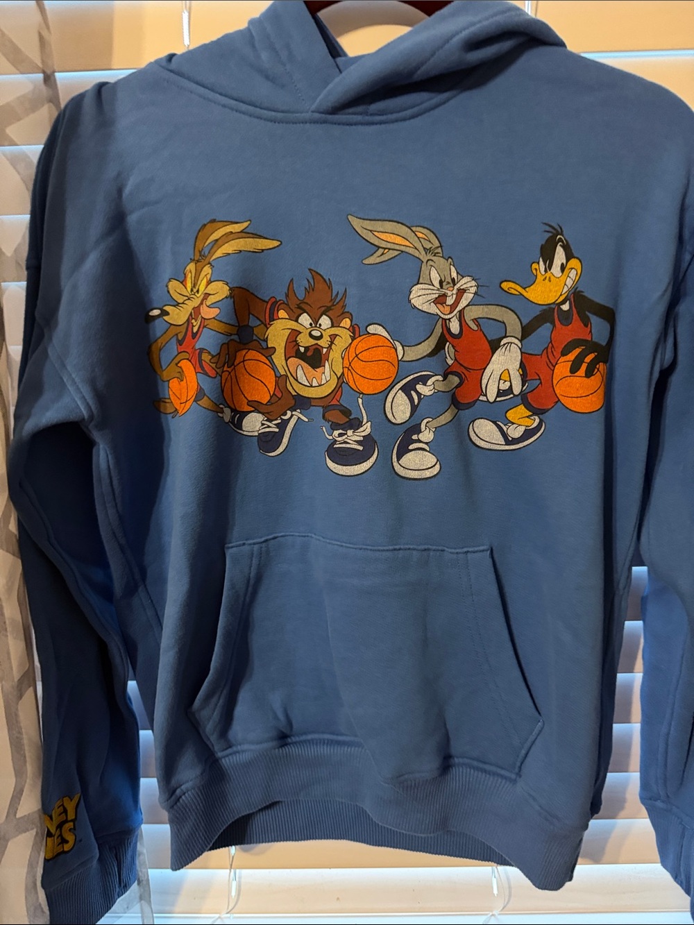Abercrombie & Fitch Blue Looney Tunes Basketball Hoodie